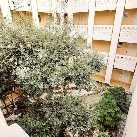 T3 Allee Des Embruns 公寓 *